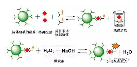 【官方网站机械】化学发光免疫分析技术-引领体外诊断行业