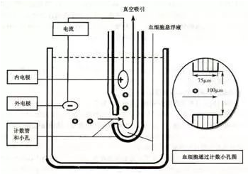 【官方网站机械】血液分析仪的检测原理及临床应用